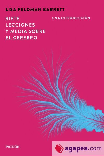 Siete lecciones y media sobre el cerebro
