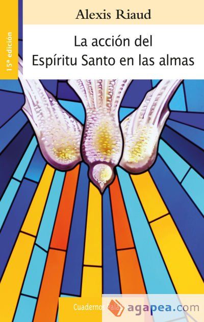La acción del Espíritu Santo en las almas