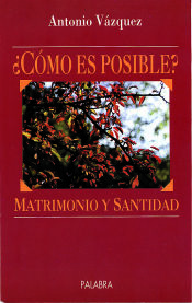 Portada de Matrimonio y santidad. ¿Cómo es posible?