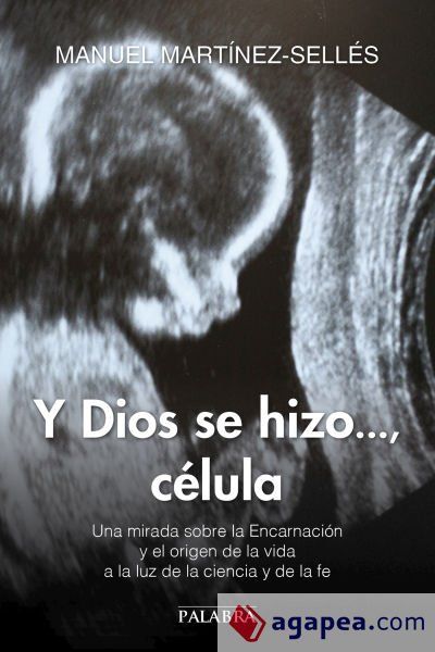 Y Dios se hizo..., c&eacute;lula
