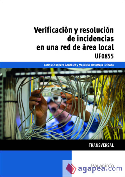 Verificación y resolución de incidencias en una red de área local