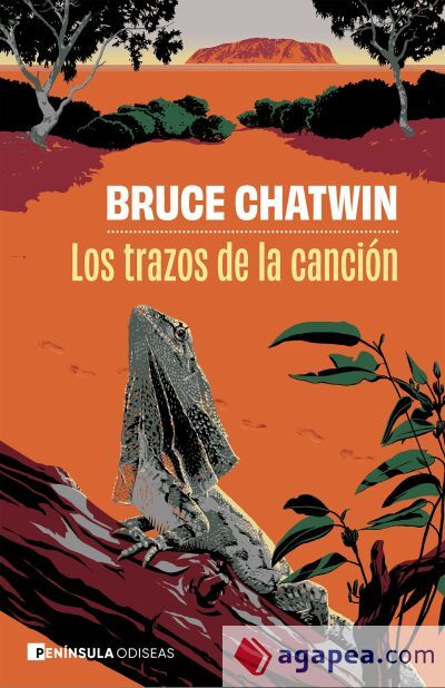 Los trazos de la canci&oacute;n