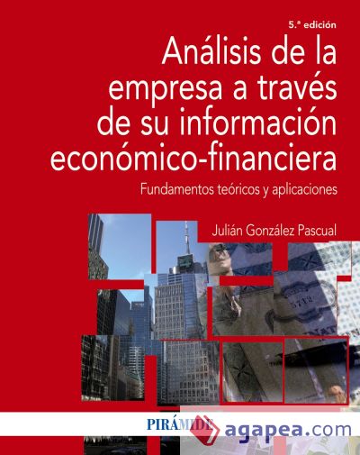 Análisis de la empresa a través de su información económico-financiera (Ebook)