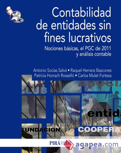 Contabilidad de entidades sin fines lucrativos (Ebook)