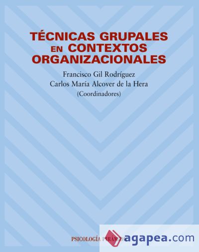 Técnicas grupales en contextos organizacionales