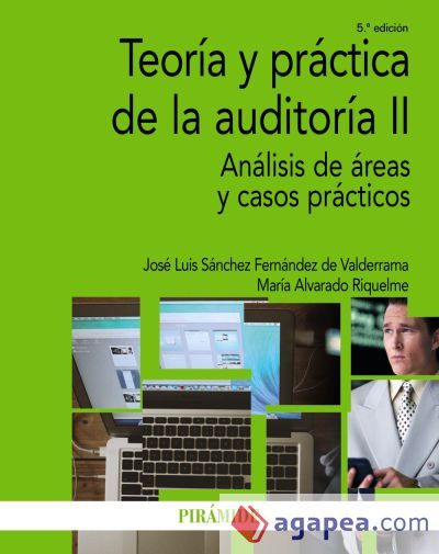 Teor&iacute;a y pr&aacute;ctica de la auditor&iacute;a II (Ebook)
