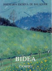 Portada de Bidea Camino