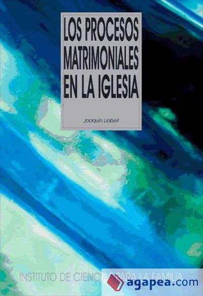 Los procesos matrimoniales en la Iglesia (Ebook)