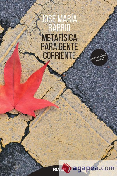 Metaf&iacute;sica para gente corriente