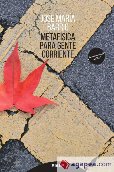 Metafísica para gente corriente