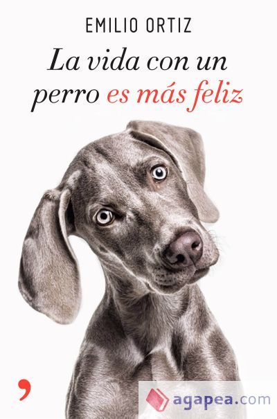 La vida con un perro es más feliz La vida con un perro es más feliz