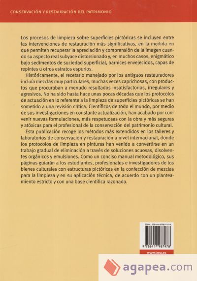 La limpieza de las superficies pictóricas: Notas para un proceso metódico