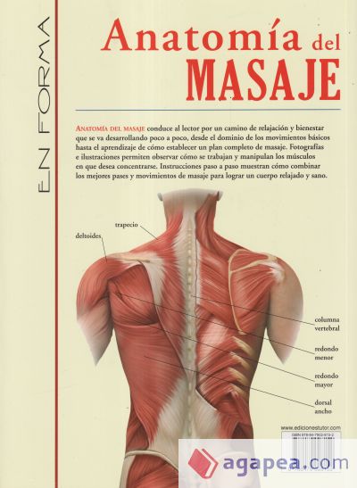 ANATOMÍA DEL MASAJE