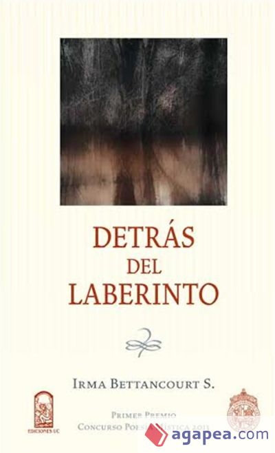 Detrás del laberinto (Ebook)