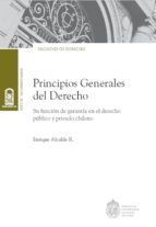 Portada de Principios generales del derecho (Ebook)