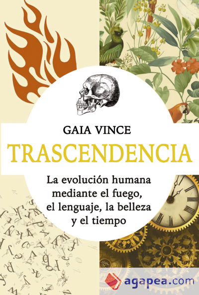 Trascendencia