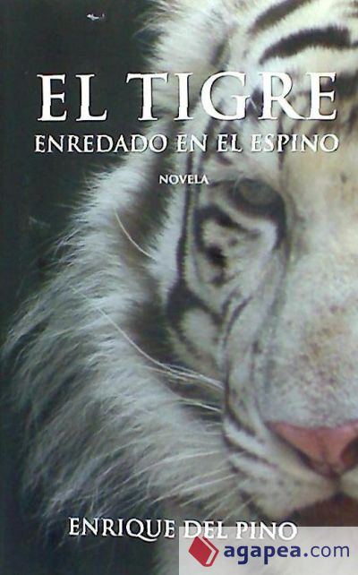 El tigre enredado en el espino