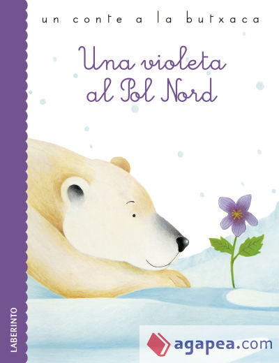 Una violeta al Pol Nord