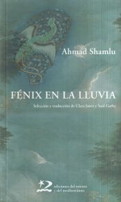 Portada de Fénix en la lluvia