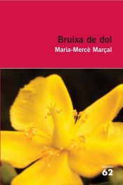 Portada de Bruixa de dol (1977-1979)