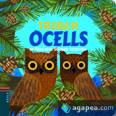 Ocells