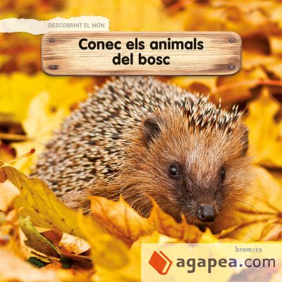 Conec els animals del bosc