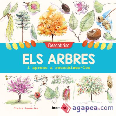 Descobrisc els arbres i aprenc a reconéixer-los