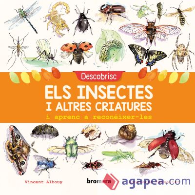 Descobrisc els insectes i altres criatures i aprenc a reconéixer-les