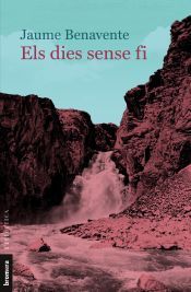 Portada de Els dies sense fi