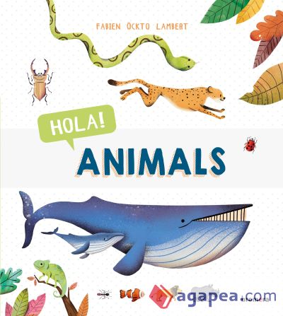 Hola! Animals