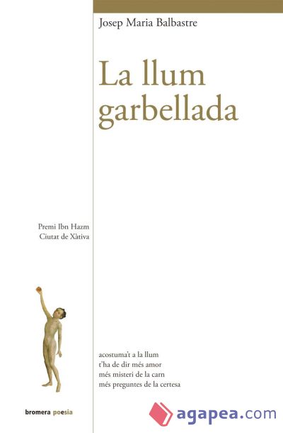 La llum garbellada