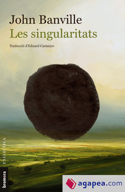 Les singularitats