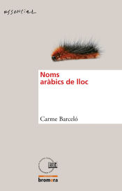 Portada de Noms aràbics de lloc