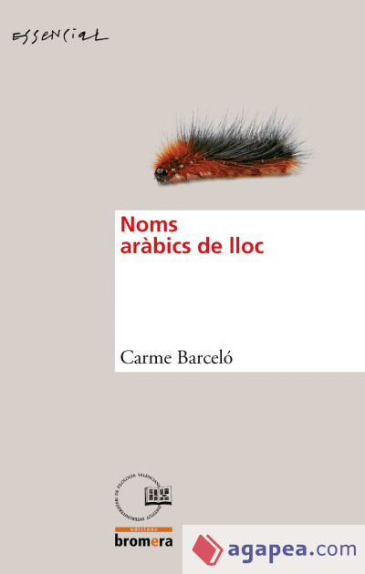 Noms aràbics de lloc