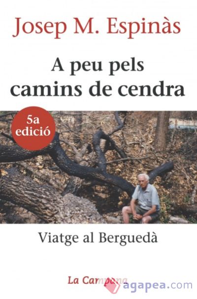 A peu pels camins de cendra