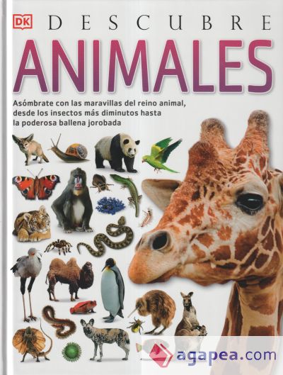 Animales, Descubre