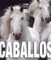 Portada de CABALLOS