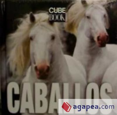 CABALLOS