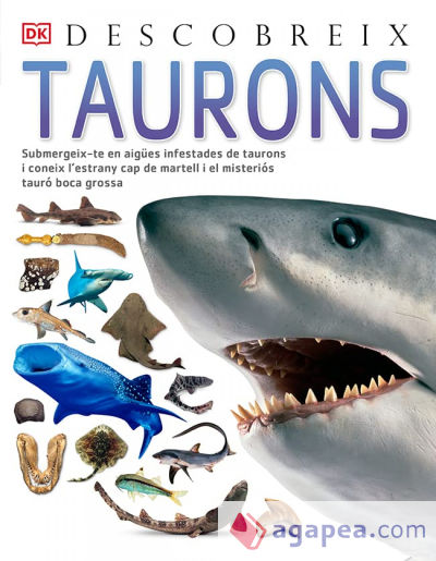 Taurons, Descobreix