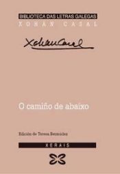 Portada de O camiño de abaixo