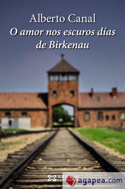 O amor nos escuros días de Birkenau (Ebook)