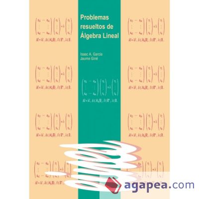 Problemas resueltos de álgebra lineal. (Ebook)