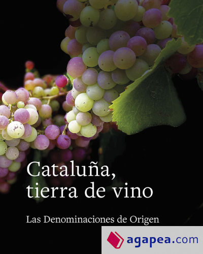 Cataluña, tierra de vinos