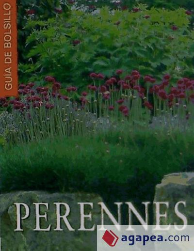 PERENNES