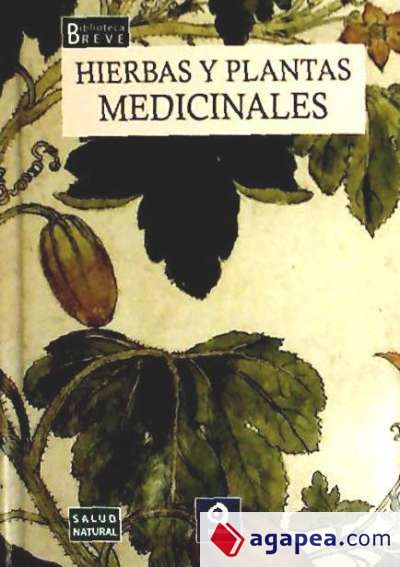 Hierbas y plantas medicinales
