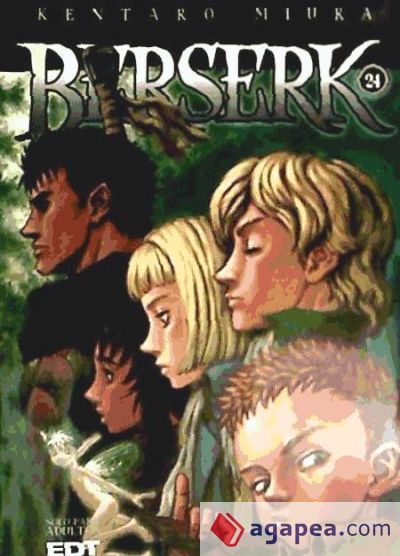 Berserk 24