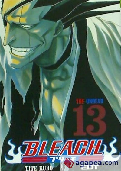 Bleach 13