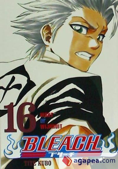 Bleach 16