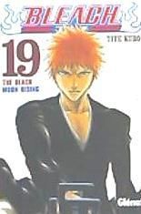 Portada de Bleach 19