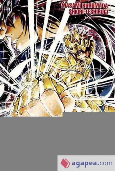 Saint Seiya - The lost canvas 14